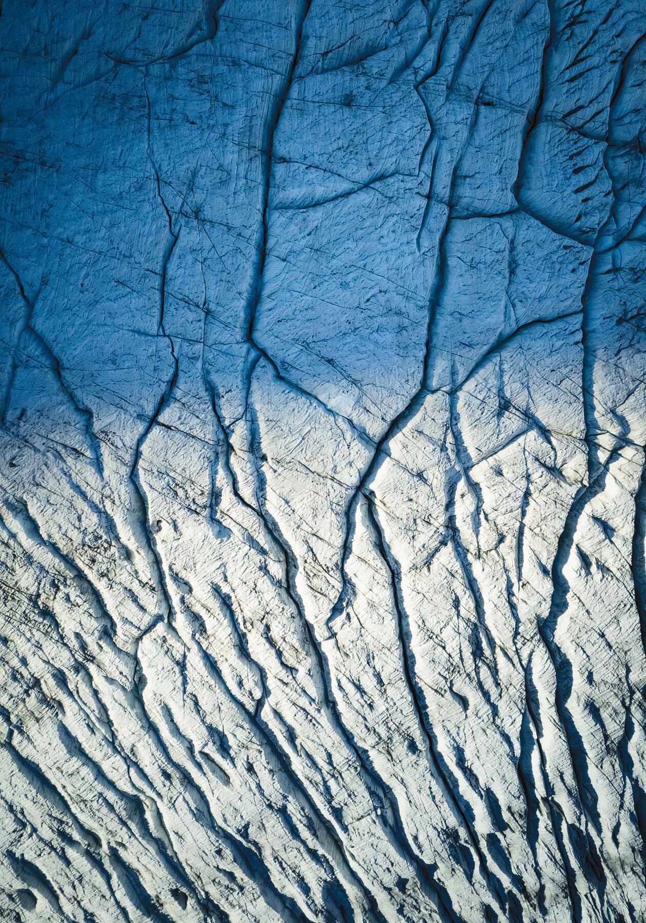 9001038