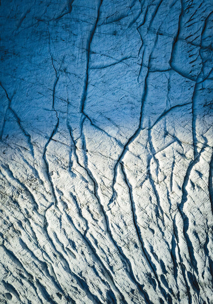 9001038